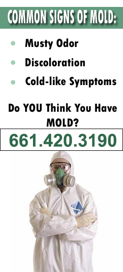 Santa Clarita Mold Remediation Contractor