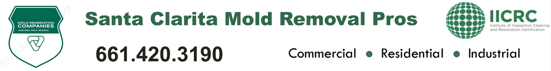 Santa Clarita Mold Removal Pros